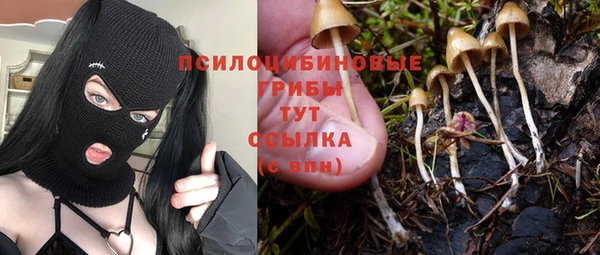 герыч Алексеевка