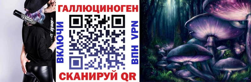 Псилоцибиновые грибы MAGIC MUSHROOMS  закладки  Томск 